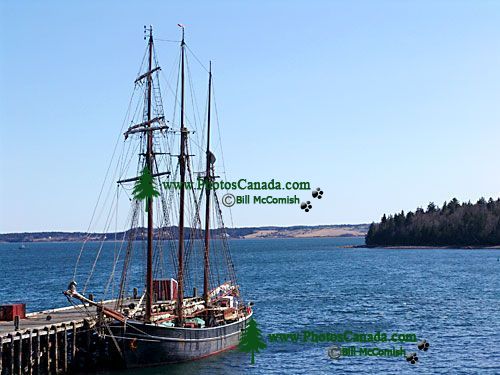 Lunenburg Harbour, Nova Scotia, Canada 10