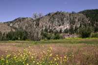 Okanagan Falls Wine Region, British Columbia CM11-006
