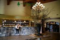 Highlight for Album: Okanagan Wine Country, Kelowna, Vernon, Penticton, Naramata, Oliver, Okanagan Falls, British Columbia Stock Photos