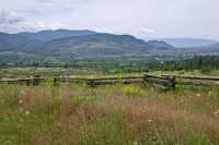 Oliver Wine Region, British Columbia CM11-001