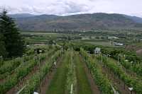 Oliver Wine Region, British Columbia CM11-002