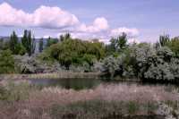 Osoyoos, British Columbia, Canada CM11-12 