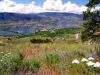 Osoyoos, British Columbia, Canada 02