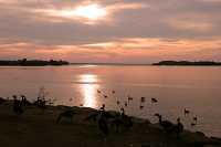Ottawa River, Ottawa, Ontario, Canada CM11-10