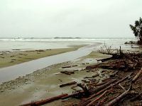 Pacific Rim National Park, British Columbia, Canada  07