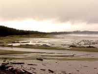 Pacific Rim National Park, British Columbia, Canada 08
