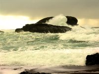 Pacific Rim National Park, British Columbia, Canada 03