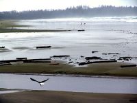 Pacific Rim National Park, British Columbia, Canada 04