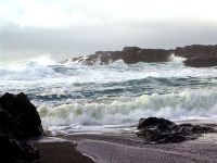 Pacific Rim National Park, British Columbia, Canada 02