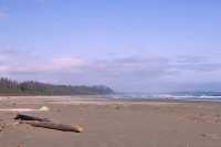 Pacific Rim National Park Reserve, June 2008, CM11-08