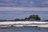 Pacific Rim National Park Reserve, June 2008, CM11-07