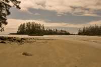 Pacific Rim National Park Reserve, June 2008, CM11-06