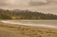 Pacific Rim National Park Reserve, June 2008, CM11-03