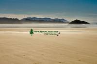 Highlight for Album: Pacific Rim National Park Reserve of Canada Stock Photos - June 2008