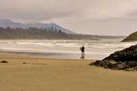 Pacific Rim National Park Reserve, June 2008, CM11-01