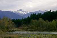 Pemberton, British Columbia, Canada CM11-24 
