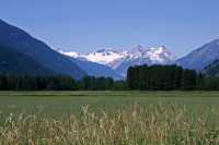 Pemberton Valley, British Columbia, Canada CM11-25 