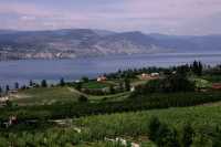 Penticton, Wine Region, British Columbia, Canada CM11-008