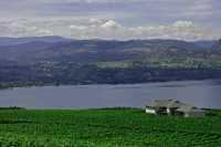 Penticton, Wine Region, British Columbia, Canada CM11-009