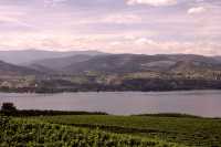 Penticton, Wine Region, British Columbia, Canada CM11-010