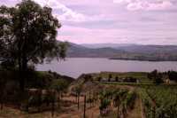 Penticton, Wine Region, British Columbia, Canada CM11-011