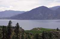 Penticton, Wine Region, British Columbia, Canada CM11-012