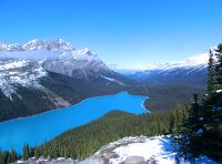 Peyto Lake, Icefields Parkway, Banff National Park, Alberta, Canada 01