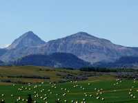 Pincher Creek, Farm, Alberta, Canada 04