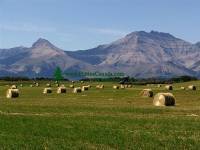 Highlight for Album: Pincher Creek Photos,  Alberta, Canada, Alberta Stock Photos