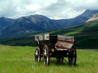 Old Farm Wagon, Pincher Creek, Alberta, Canada 01