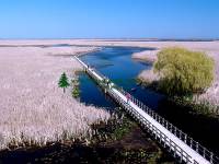 Highlight for Album: Point Pelee National Park of Canada Photos,  Ontario, Canada, Canadian National Parks Stock Photos