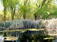 Point Pelee National Park, Ontario, Canada 06