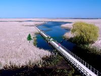 Highlight for Album: Point Pelee National Park 