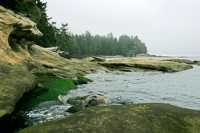 Port Renfrew Botanical Beach, Vancouver Island CM11-006