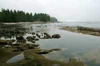 port_renfrew_botanical_beach_009.jpg