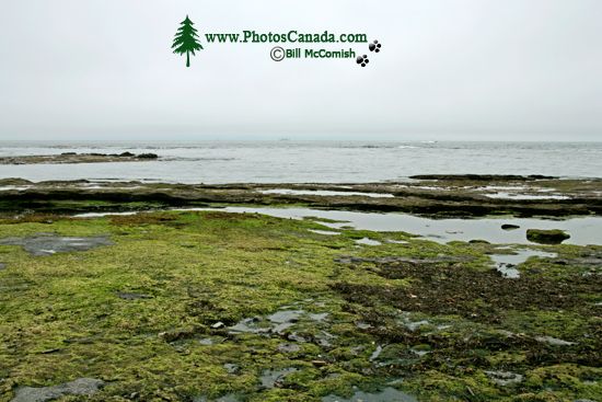 Port Renfrew Botanical Beach, Vancouver Island CM11-002