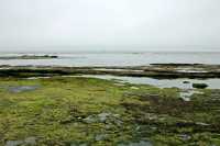 Port Renfrew Botanical Beach, Vancouver Island CM11-002