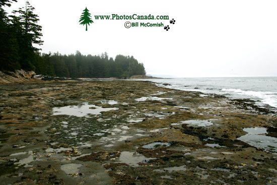 Port Renfrew Botanical Beach, Vancouver Island CM11-003