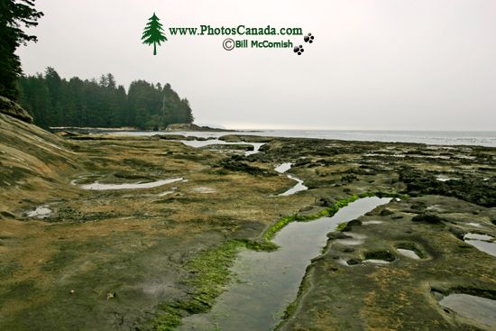 Port Renfrew Botanical Beach, Vancouver Island CM11-004