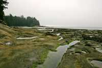 Port Renfrew Botanical Beach, Vancouver Island CM11-004