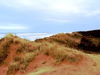 Cavendish Beach Sand Dunes, Prince Edward Island, Canada 15