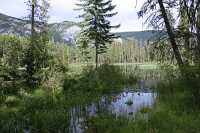 Purcell Mountains, South East British Columbia, Canada CM11-001