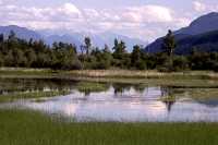 Purcell Mountains, South East British Columbia, Canada CM11-027