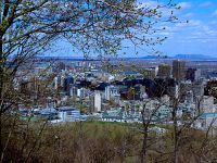 Downtown Montreal, from Mount Royal lookout, Quebec, Canada   05