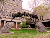 McGill University, Ram Sculpture, Montreal, Quebec, Canada 10

