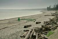 Highlight for Album: Queen Charlotte Islands Photos, Haida Gwaii Photos, British Columbia Stock Photos