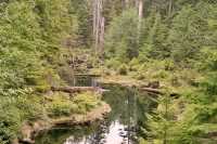 Queen Charlotte Islands Photos, Haida Gwaii, British Columbia, Canada CM11-05