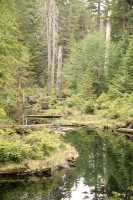 Queen Charlotte Islands Photos, Haida Gwaii, British Columbia, Canada CM11-04