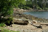 Rennell Sound, Queen Charlotte Islands, Haida Gwaii, British Columbia, Canada CM11-02