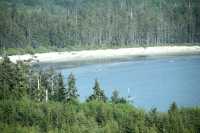 Rennell Sound, Bonanza Beach, Queen Charlotte Islands, Haida Gwaii, British Columbia, Canada CM11-06